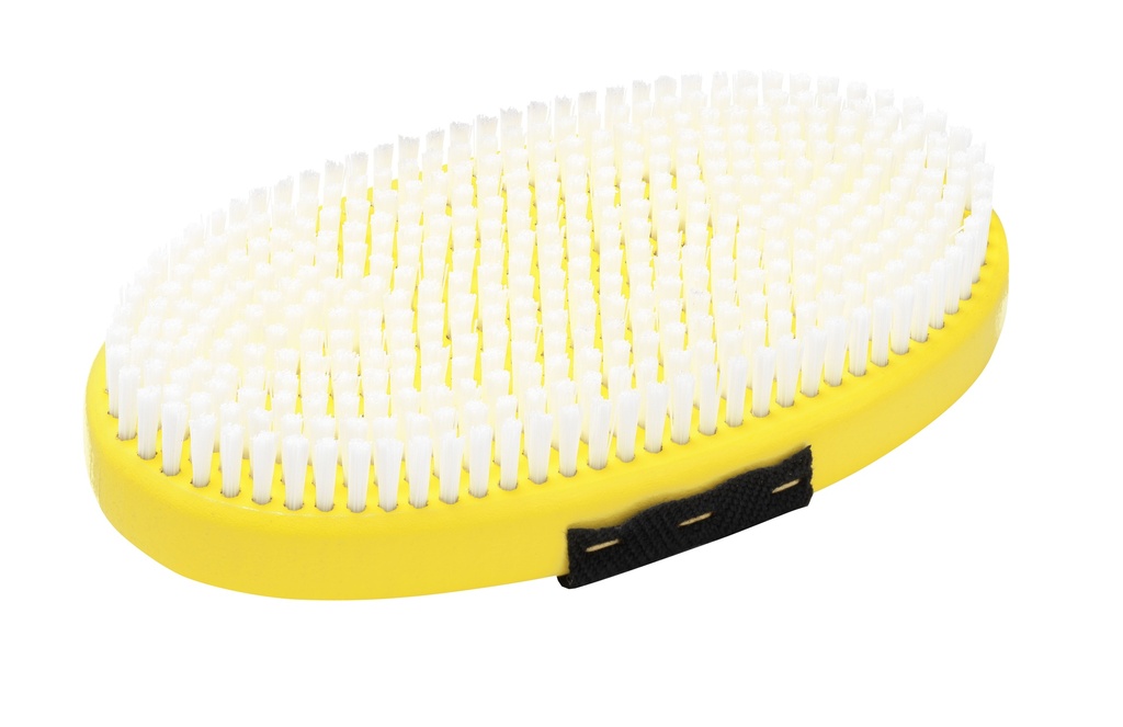 [5560010] Base Brush oval Nylon with strap